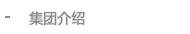 集团介绍